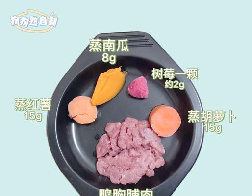 比熊45天大时可以吃哪些食物？如何安排比熊的饮食？