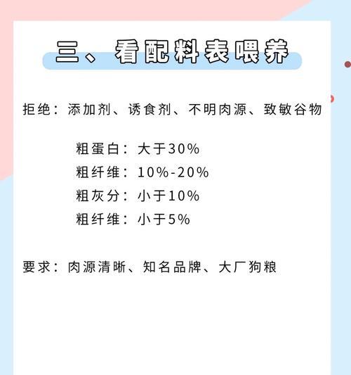 一个多月的比熊如何正确喂养幼犬狗粮？喂养过程中应注意什么？