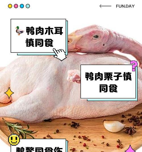 比熊犬可以吃鸭肉吗？鸭肉对它们有什么影响？