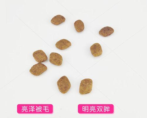 递乐贵宾犬专用狗粮怎么样？好不好？