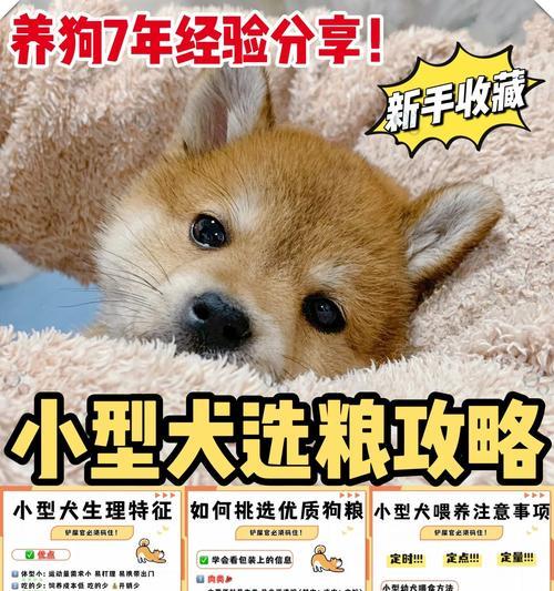 两三个月的柴犬一次喂多少狗粮合适？喂食频率是多少？