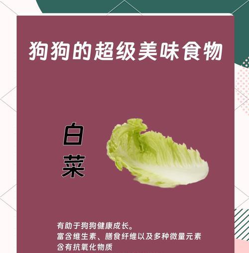 比熊能吃鸡心鸡肝吗？如何简单地为狗狗准备这些食物？