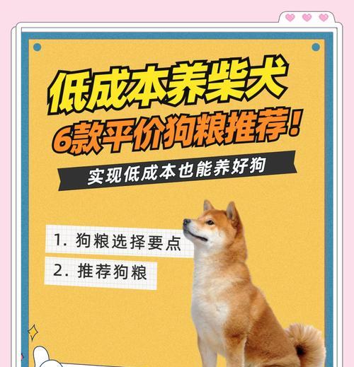 2个半月柴犬消化最好的狗粮是什么？如何选择合适品牌？