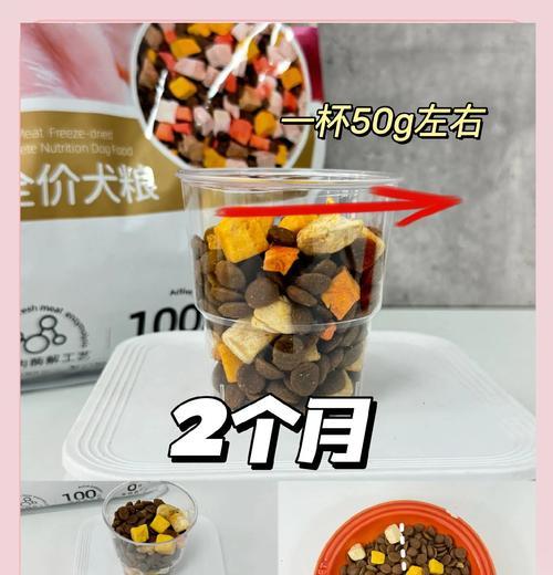 不到一个月的狗狗应该如何喂食？喂食时应该注意什么？