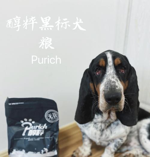 中型犬每月狗粮消耗量是多少？费用大概需要多少？