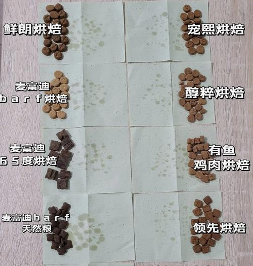 加菲猫肠胃不适时应选择哪种猫粮？