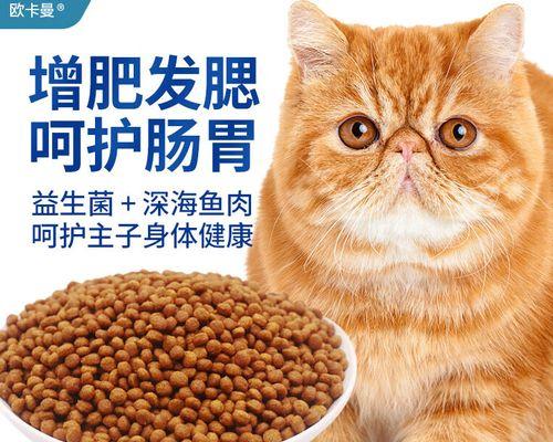 加菲猫肠胃不适时应选择哪种猫粮？