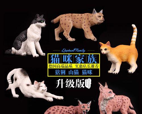 猫是家禽还是家畜？它们的分类标准是什么？