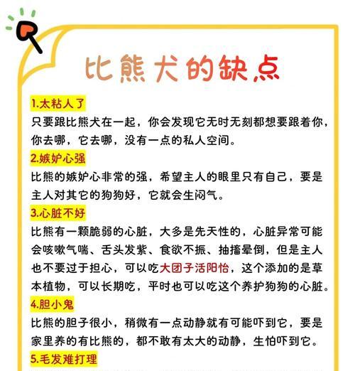 为什么比熊犬要选择小颗粒狗粮？对健康有何益处？