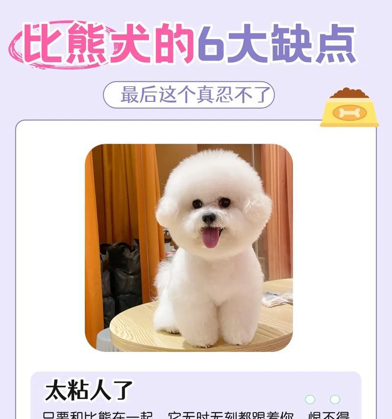 为什么比熊犬要选择小颗粒狗粮？对健康有何益处？