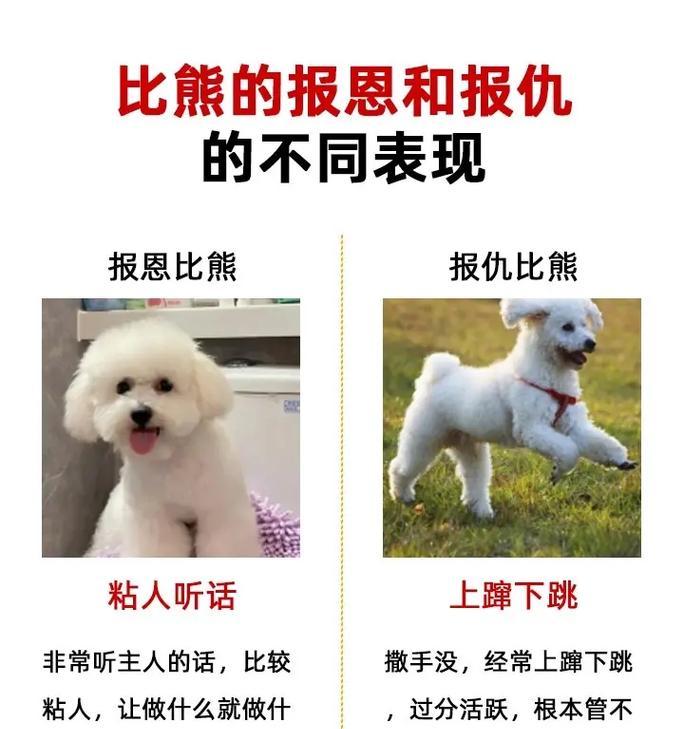 比熊幼犬可以吃鸡胸肉吗？鸡胸肉对幼犬的成长有何益处？