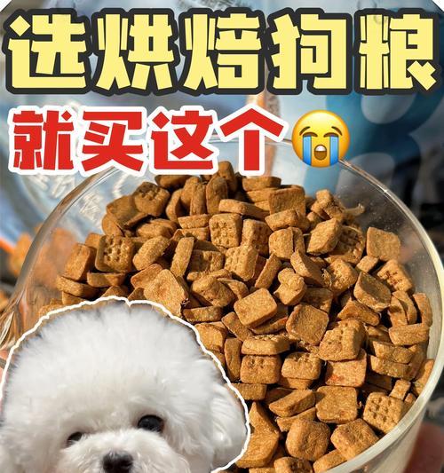 比熊幼犬吃多少克狗粮正常？如何根据年龄调整食量？