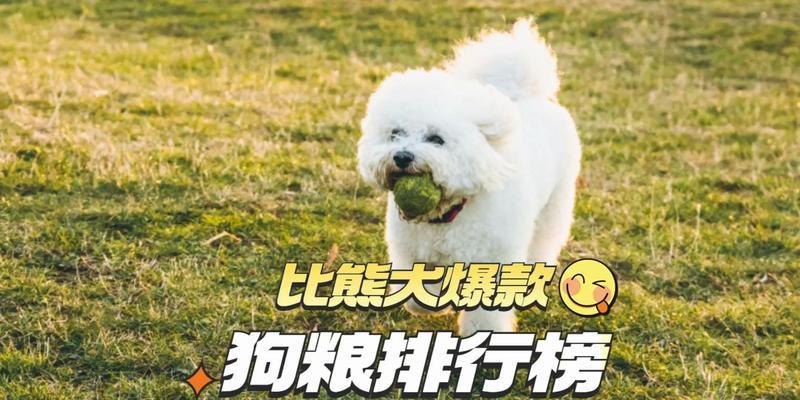 比熊幼犬吃多少克狗粮正常？如何根据年龄调整食量？