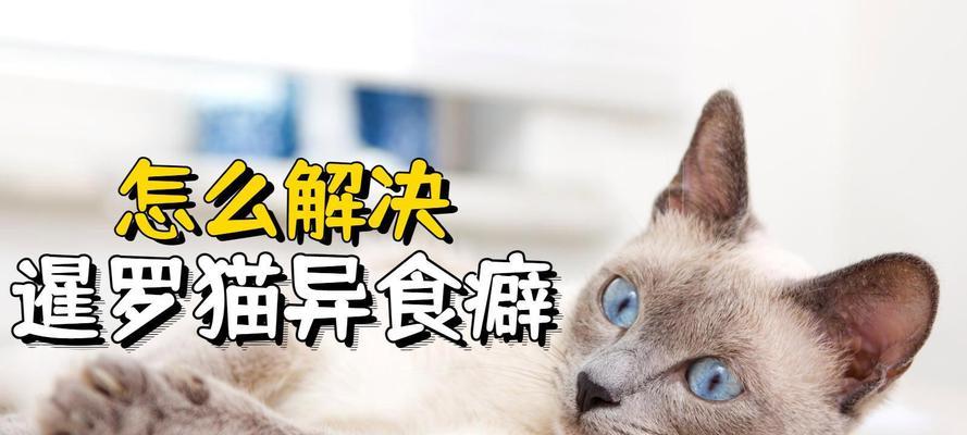 暹罗猫换猫粮的正确方法是什么？