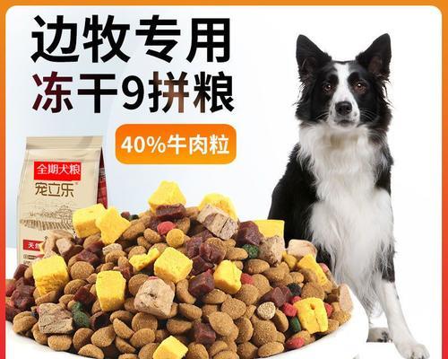 五斤狗粮能供中型犬食用多久？