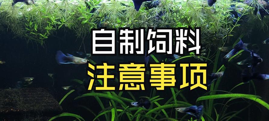 孔雀鱼苗为何吃饲料不长肉？如何改善？