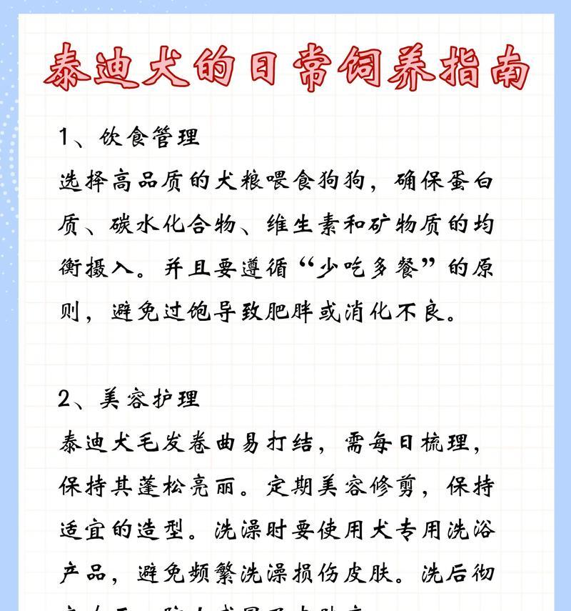 泰迪幼犬打疫苗需要多少钱？接种疫苗的流程是怎样的？