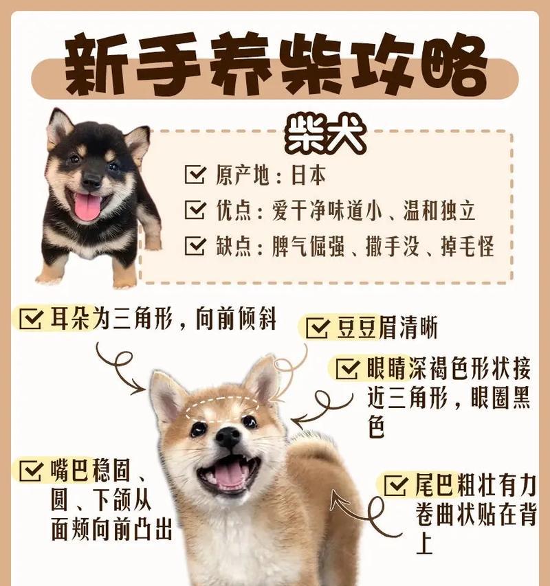 两周大的柴犬体重标准是多少？