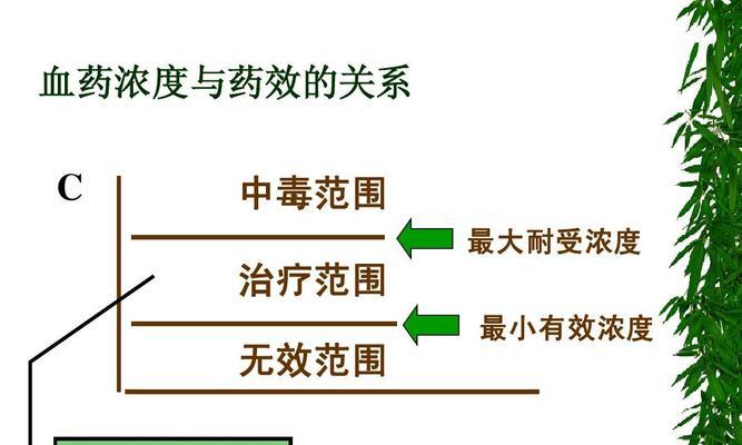 柴犬支气管炎药物治疗需要多少钱？哪种药物更有效？