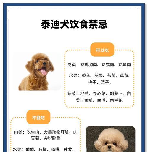 泰迪公犬拍摄一次需要多少钱？泰迪公犬拍摄的费用是多少？