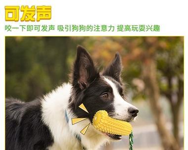 哪些玩具适合不发声的小型犬？