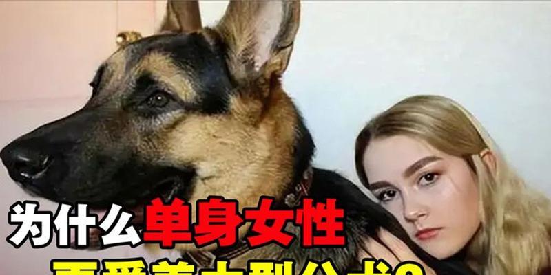 哪些品牌的大型犬比较好养？有什么推荐？