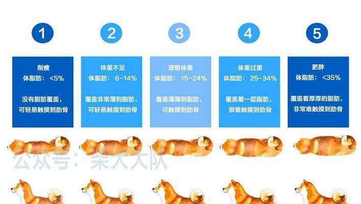 一个月大的柴犬每天需要喂多少粒？柴犬的喂食量如何控制？