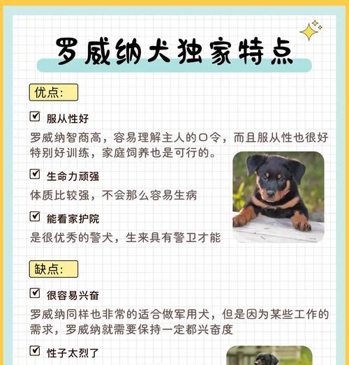 乳山有哪些小型犬适合看家护院？选择小型犬时应注意什么？