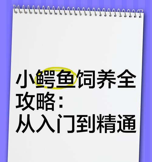 鳄鱼鱼苗应该喂食什么？如何确保营养均衡？