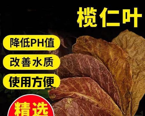 斗鱼苗侧着游动是正常现象吗？如何改善？