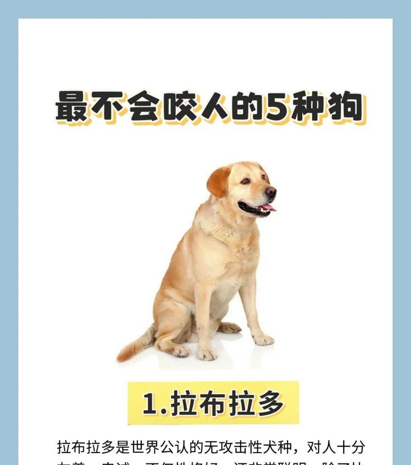 泰迪第二窝的最佳生产时间是什么时候？如何判断泰迪的生产时间？