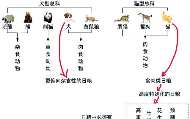 猫和狗可以共用同一碗粮食吗？原因是什么？