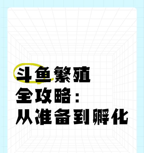 孵化斗鱼苗需要哪些条件和准备？