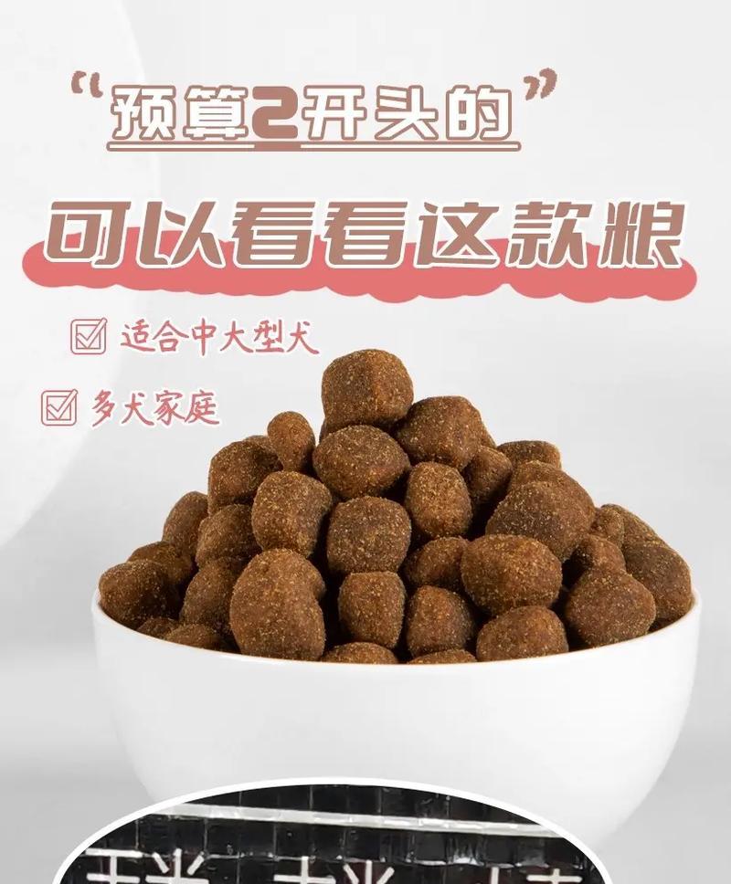 哪些肉类最适合大型犬食用？