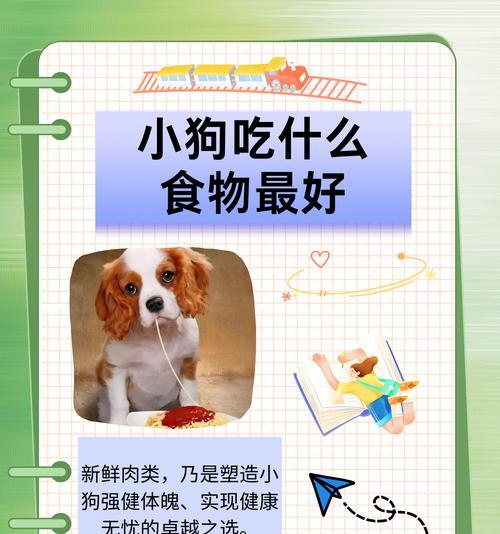 哪些肉类最适合大型犬食用？