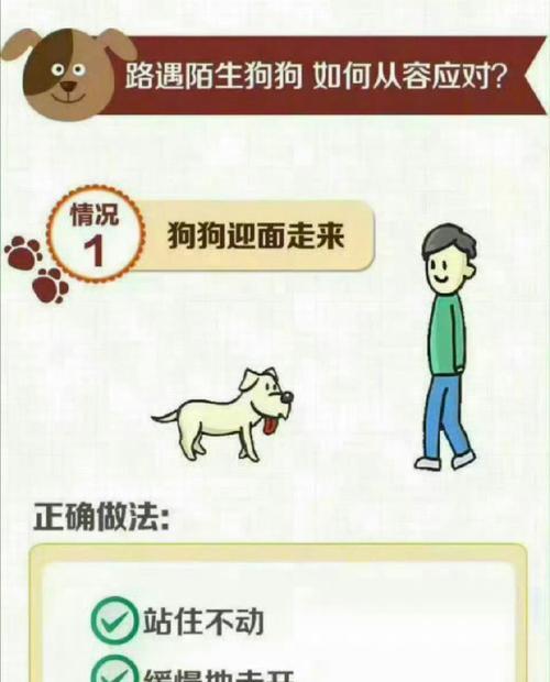 咬人的小型犬排名前十有哪些？这些犬种为何会攻击人？