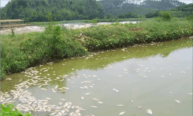 罗非鱼苗大量死亡的常见原因有哪些？