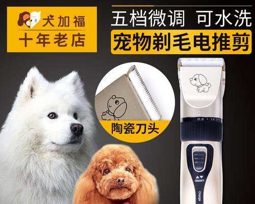 衢州修狗毛一次多少钱？泰迪犬修剪毛发的费用是多少？