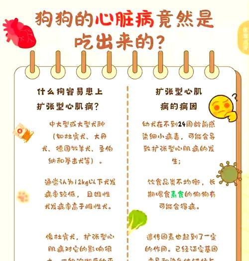 大型犬在饮食上应注意哪些事项？