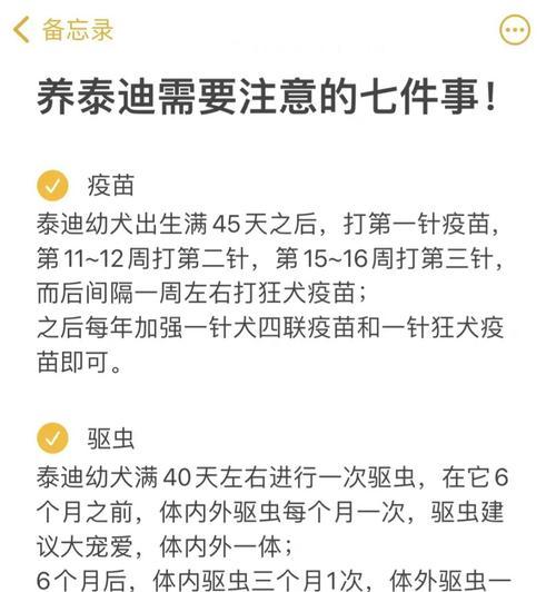 灰泰迪长到4斤需要多少钱？购买时应注意哪些事项？